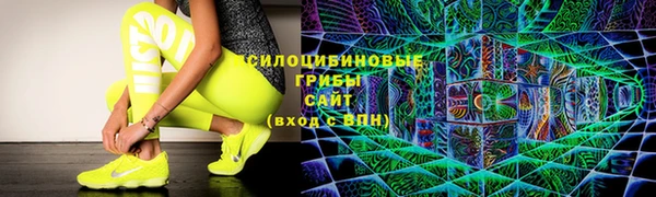 стафф Богородск