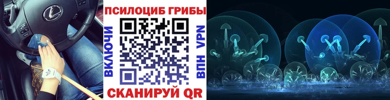 kraken как войти даркнет сайт Горняк Псилоцибиновые грибы Magic Shrooms